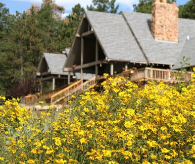 Fort Collins Colorado Spring Rustic Wedding Packages