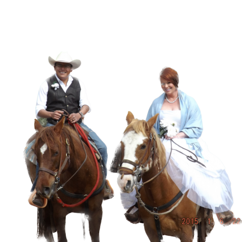 Horse couple no back Horse couple no back